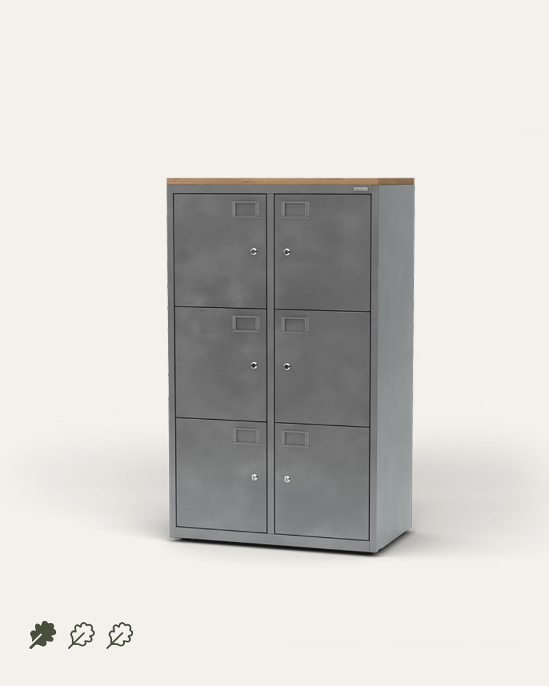 Ferro industrial office lockers