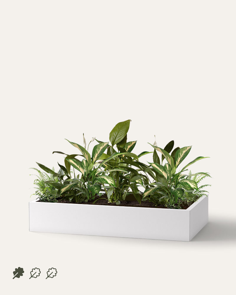 storage top office planters