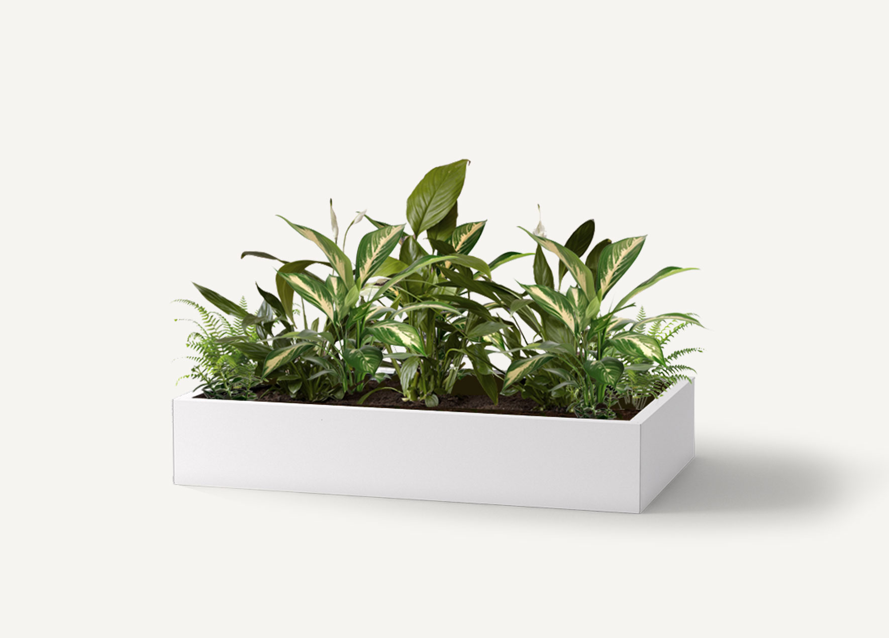 storage top office planters