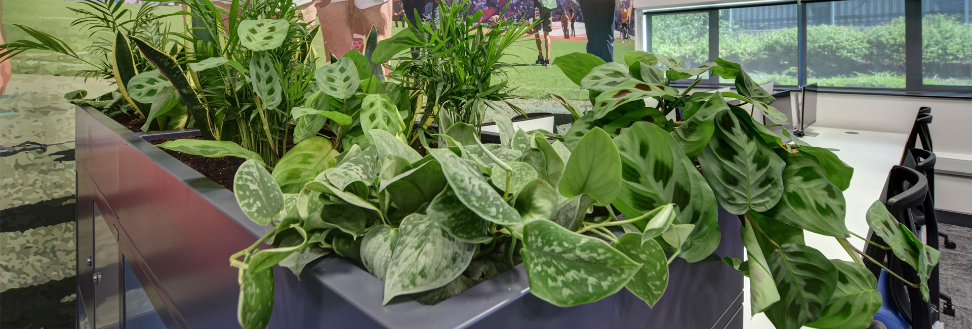 office storage planters