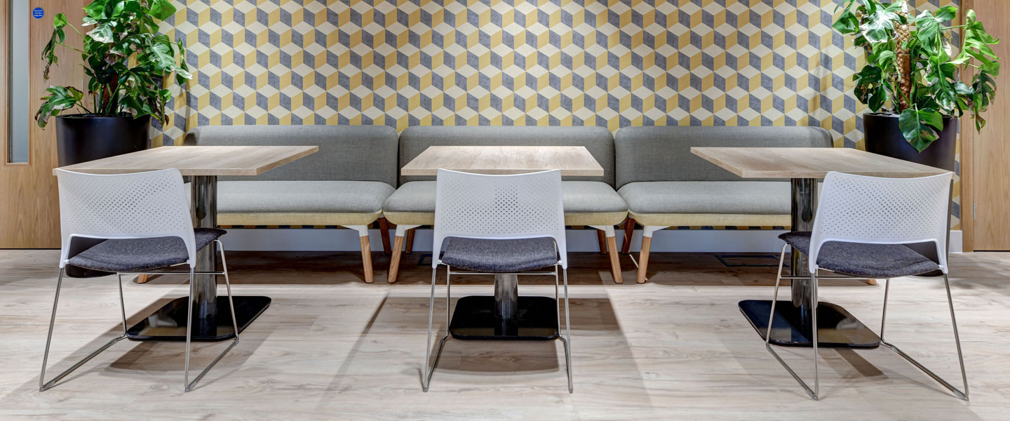 Biophilic inspired office design