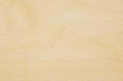 Birch Ply with Satin Lacquer