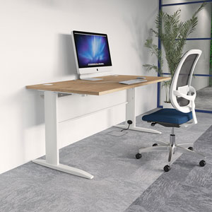 Todd Office Desks