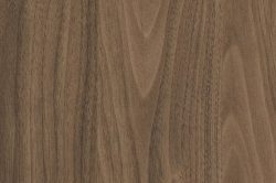 Walnut MFC - Office Furniture