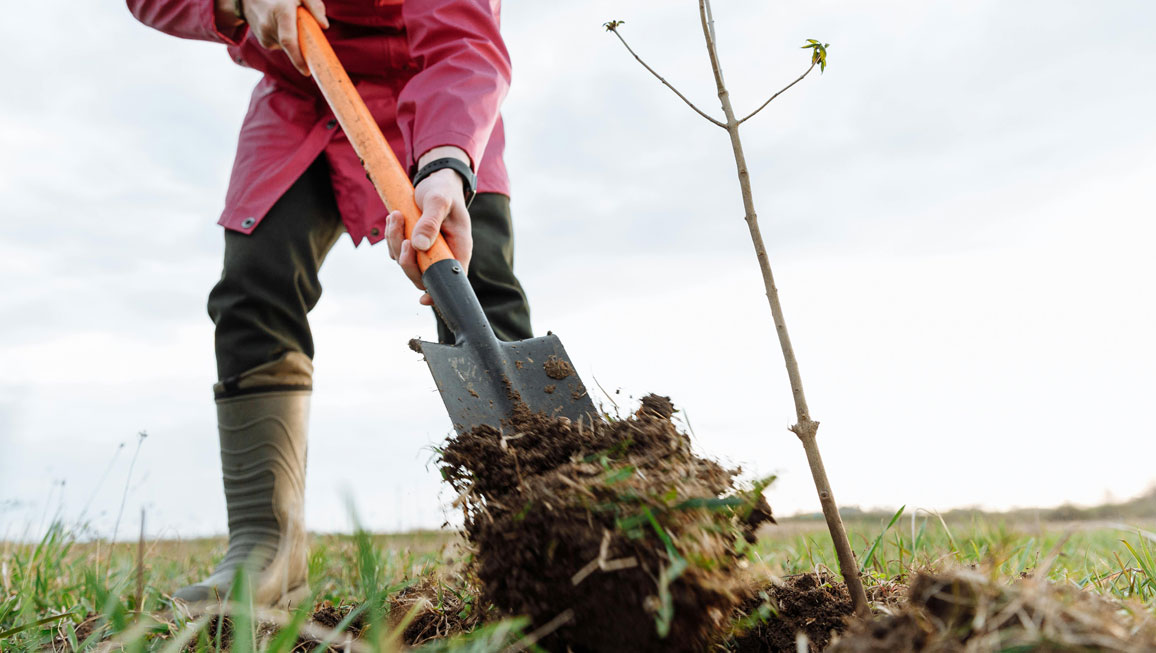 Sustainable manufacturing